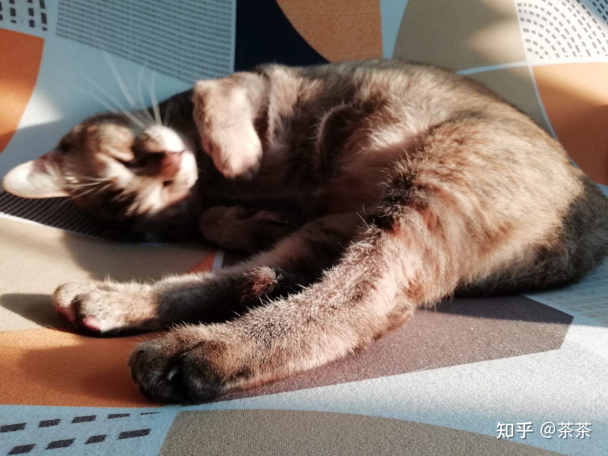 哈利亲笔：言语无法形容这种失落的痛苦，但我会振作起来